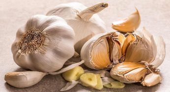 Sbucciare l’aglio, i metodi consigliati dagli chef