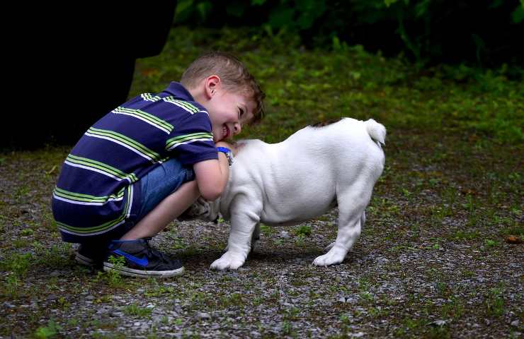 La triste storia di un bambino e del suo cane