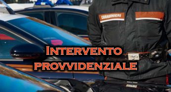 Va a cena e lascia il cane in auto: Carabinieri intervengo appena in tempo