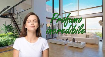 Il trucco segreto per una casa sempre pulita e profumata: da non credere