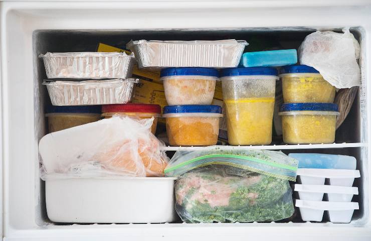 alimenti freezer tempistiche consumo