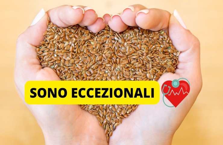 Dei semi di lino tenuti in una forma di cuore con le mani