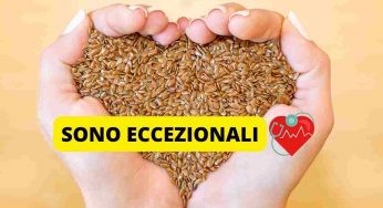 Semi di lino, se sai questa cosa inizierai a mangiarne di più