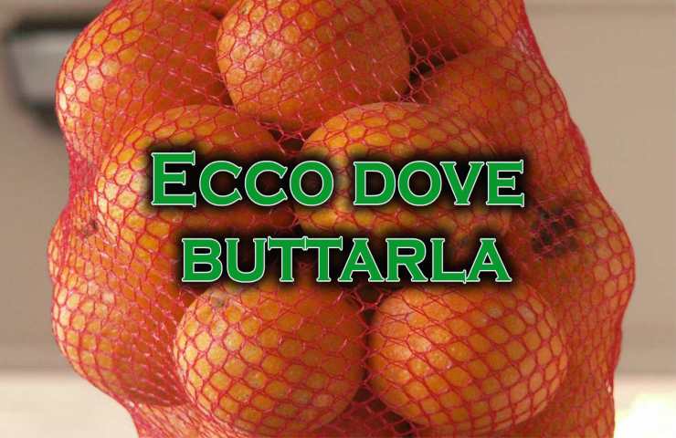 dove buttare la rete della frutta