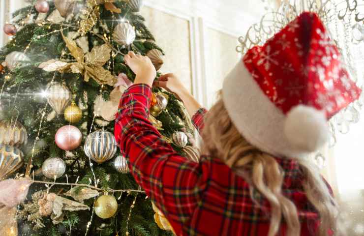 Le fasi di allestimento di un albero