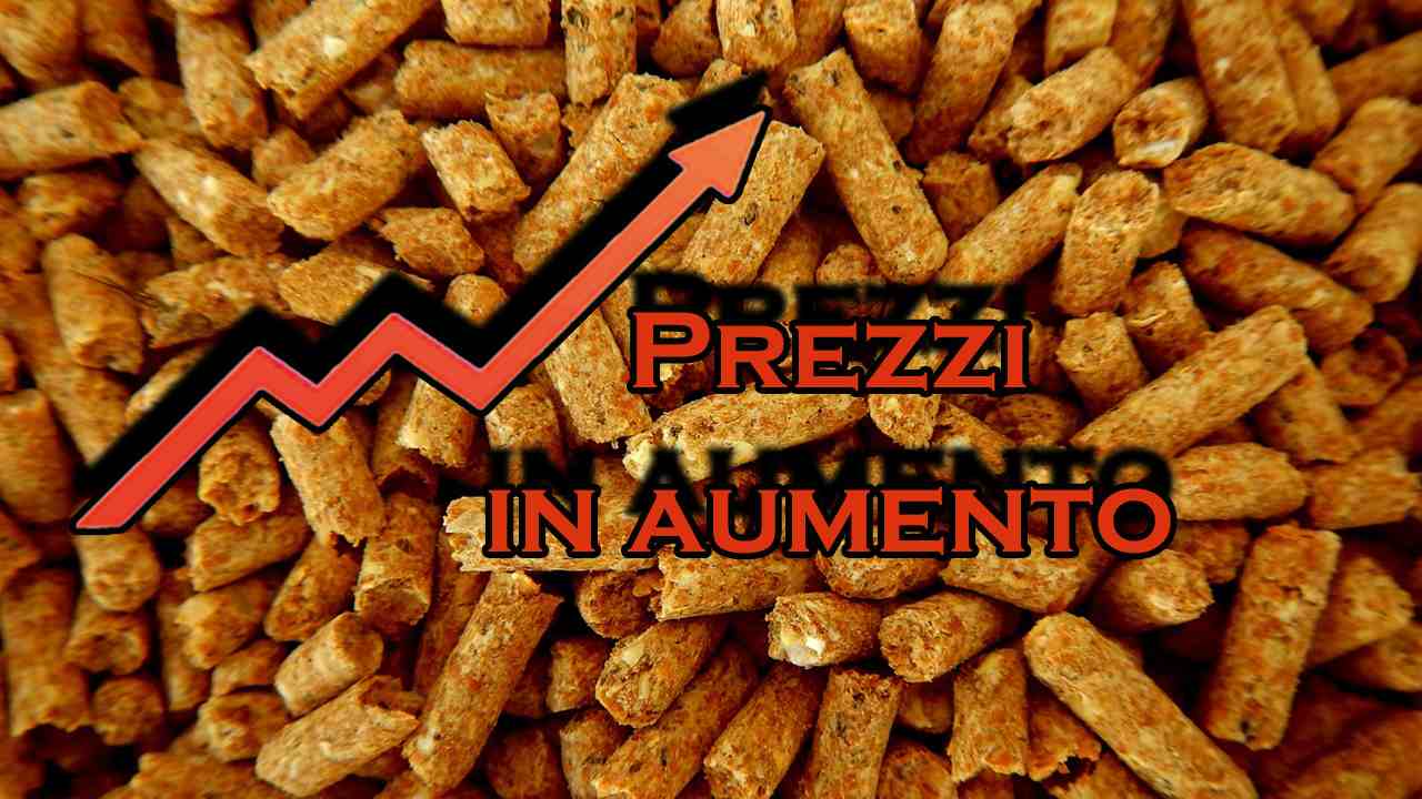 Rincaro prezzi pellet l'alternativa è economica e ecologica