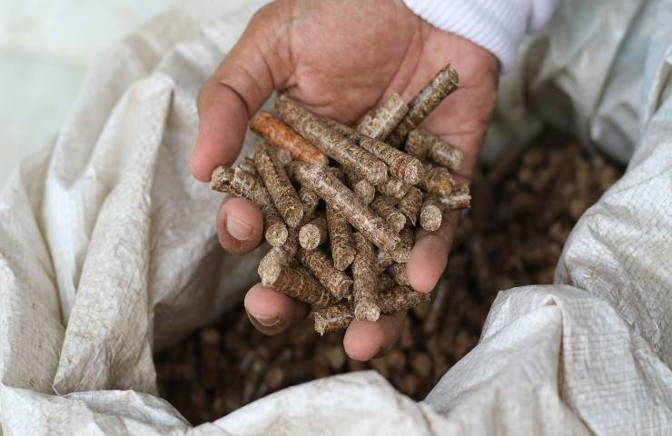 Perché il costo del pellet sta aumentando?