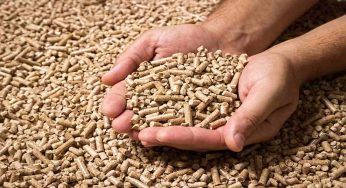 Il pellet costa caro: l’alternativa che ti farà risparmiare tanti soldi