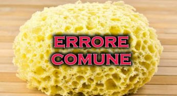 Spugne cucina ormai vecchie, non commettere questo errore