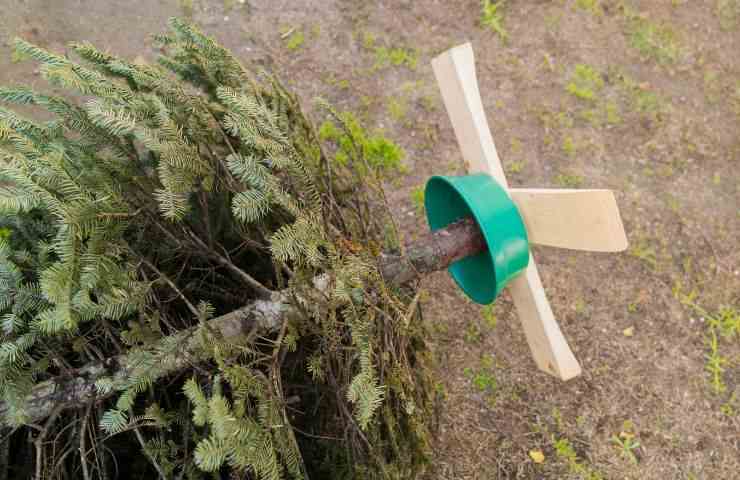 Un albero di Natale vecchio