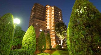 Siepi o alberi in condominio: cosa dice la legge per l’abbattimento