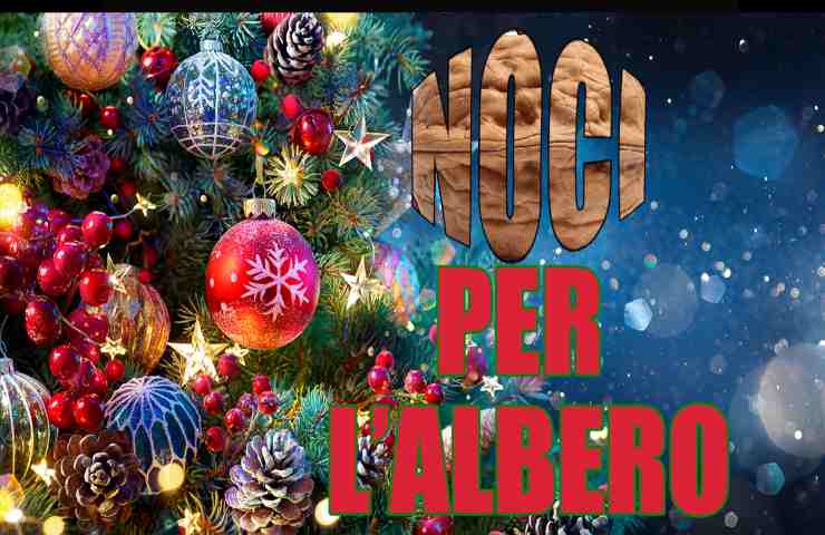 idee per Natale con le noci