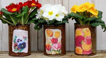 Bustine semi, non buttarle: c’è una bella sorpresa