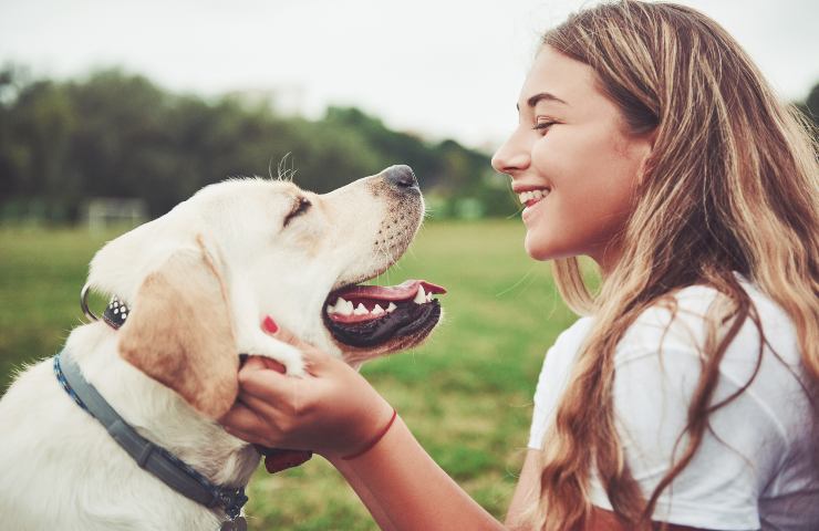 cane agitato cosa fare