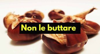 Bucce castagne, non gettarle: esistono 3 modi nei quali utilizzarle