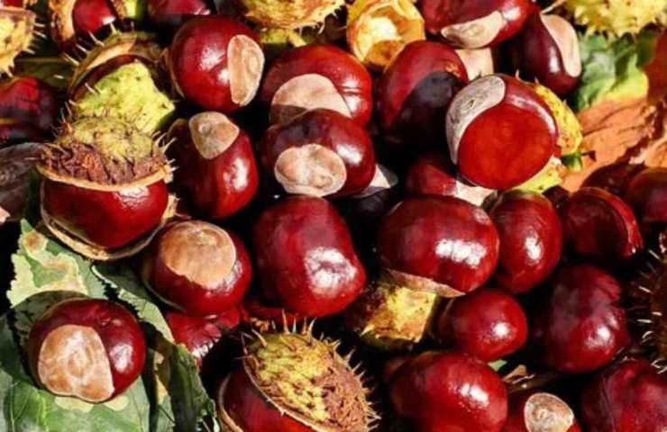 castagne trucchi per sbucciarle