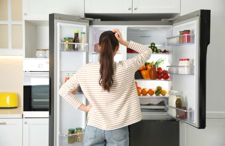 Alimenti nel frigo, quali mettere