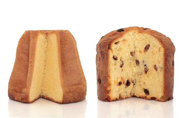 cani possono mangiare panettono e pandoro