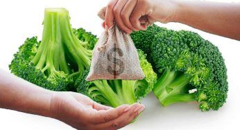 Broccoli già tagliati e lavati: non dovresti mai comprarli, perchè