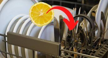Inserisci una fetta di limone in lavastoviglie: risultato sbalorditivo