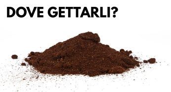 Non confonderti, dove gettare correttamente i fondi del caffè