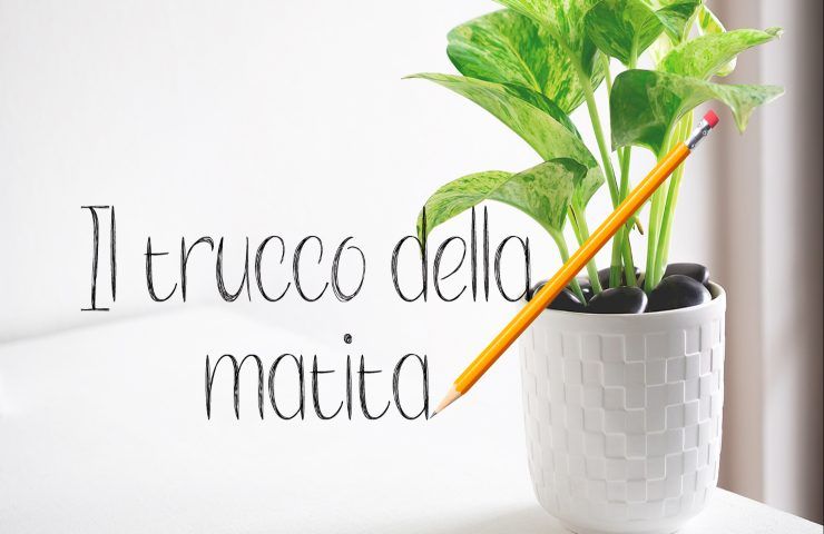 trucco della matita giardinaggio