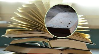 Libri polverosi e vecchi: come poterli pulire senza rovinarli
