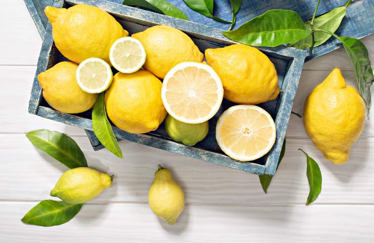 corretta conservazione limoni