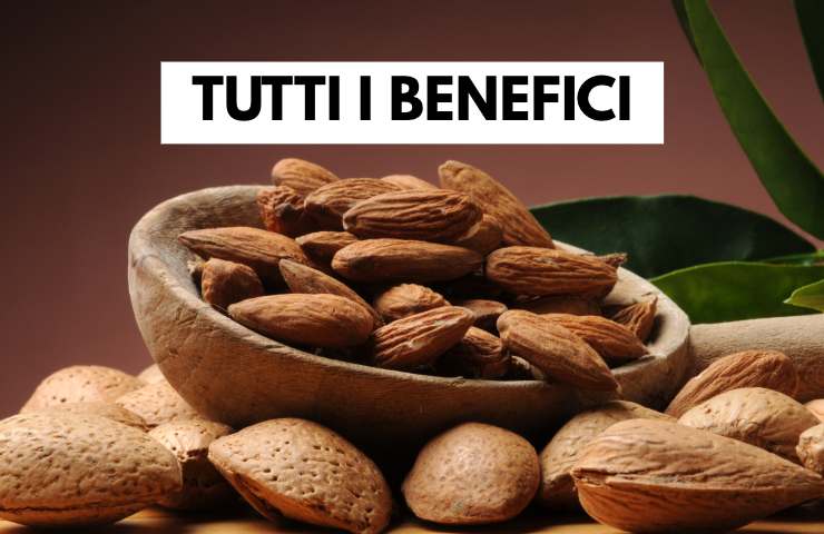 Tutti i benefici delle mandorle