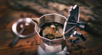 Moka, se vuoi un caffè sempre buono fai questo: ti stupirà