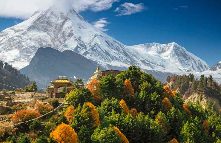 politica virtuosa nepal alberi