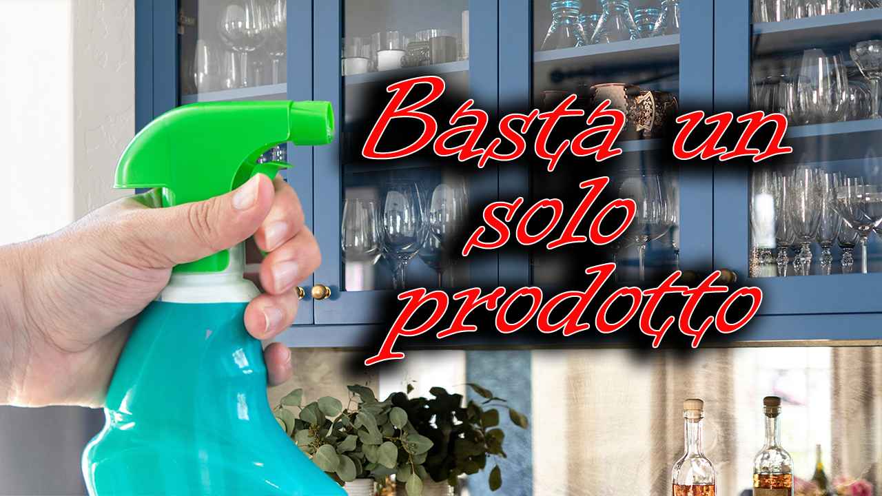 Koch Chemie Rimozione Insetti E Sporco, 750ml | WhichOne - Foto 2