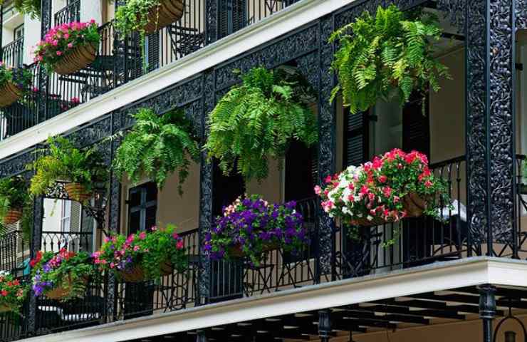 Piante sul balcone non metterle