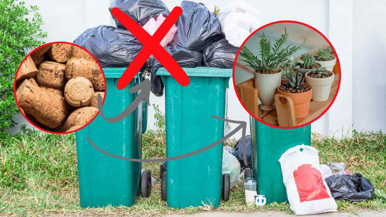 Tappo Di Sughero - Grandi Formati, Tappi, Sughero Affusolato - Foto 11