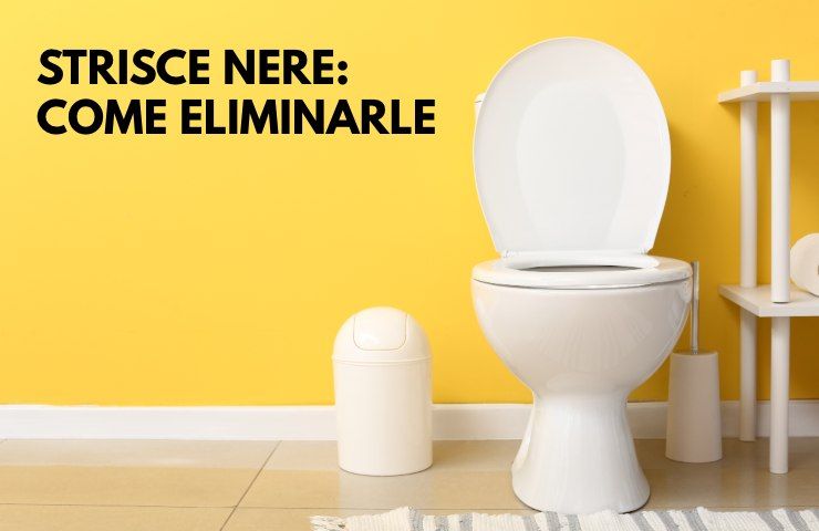 Strisce nere nel wc: come eliminarle