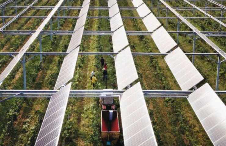 Agrivoltaico ecco a cosa serve