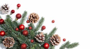 Cosa rappresentano le palline sull’albero di Natale: il loro antico significato