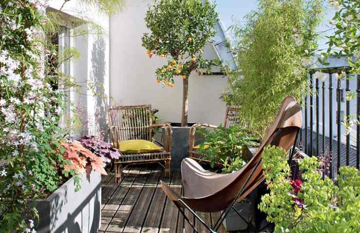 Piante balcone non ci possono stare