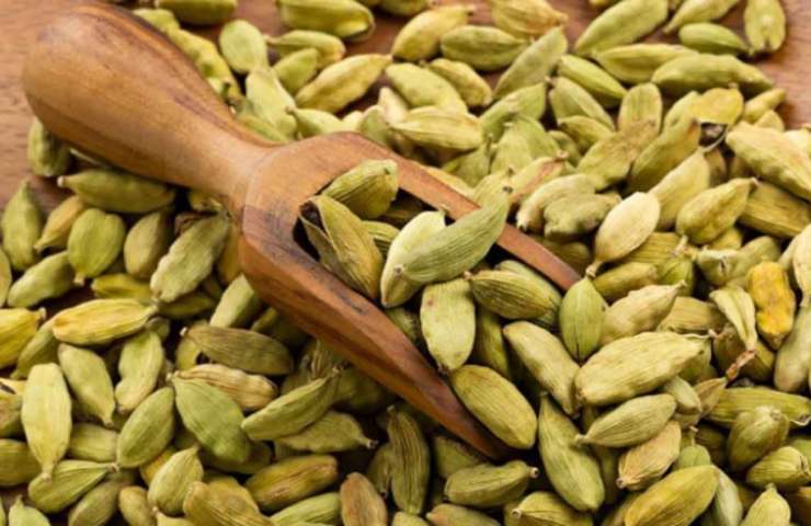 Cardamomo proprietà benefiche