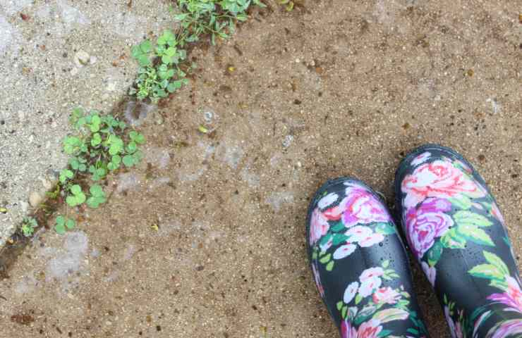 giardino togliere erbacce rimedi naturali