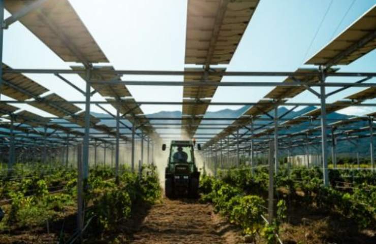 Agrivoltaico cosa vuol dire