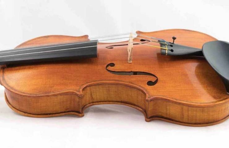 Primo violino vegano