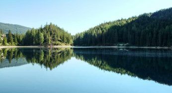 Lo pesca nel lago: grande sorpresa quando scopre che pesce è