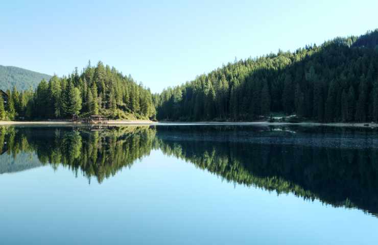 lago pesca carpa