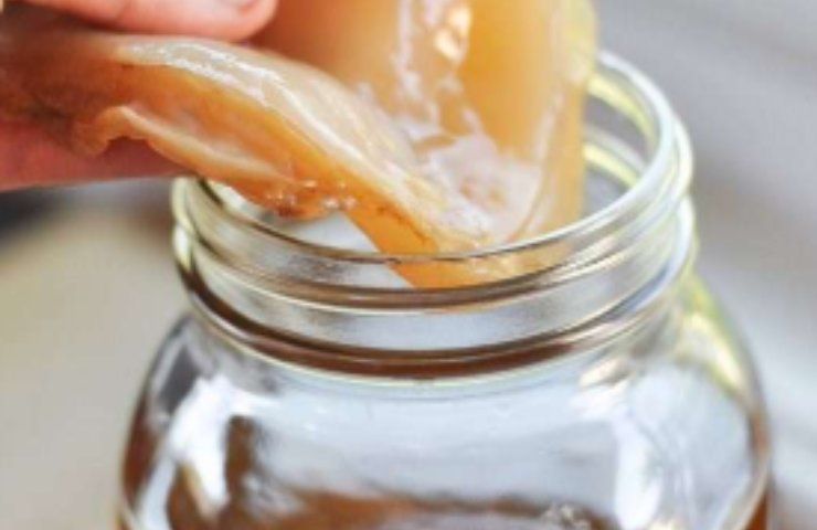 Kobucha tè per intestino