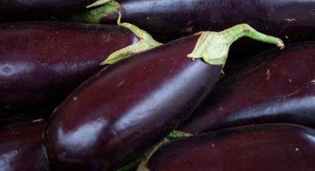 Melanzane, troppo amare: il trucco per eliminare il forte sapore