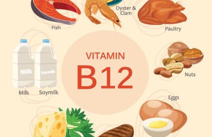 Vitamina B12 una carenza come si nota