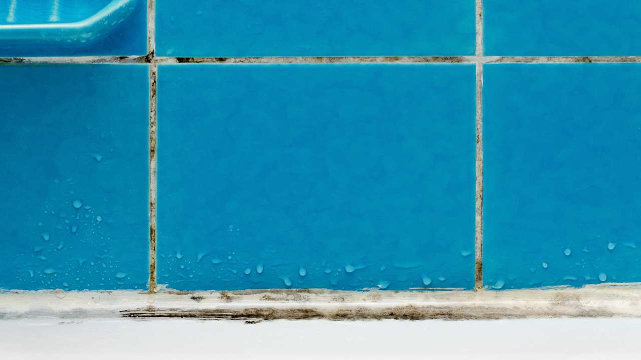 Giocattoli Da Bagno Per Bambini Senza Fori - 12 Animali Marini, Anti Muffa, Sicuri Per Vasca E Piscina - Foto 11