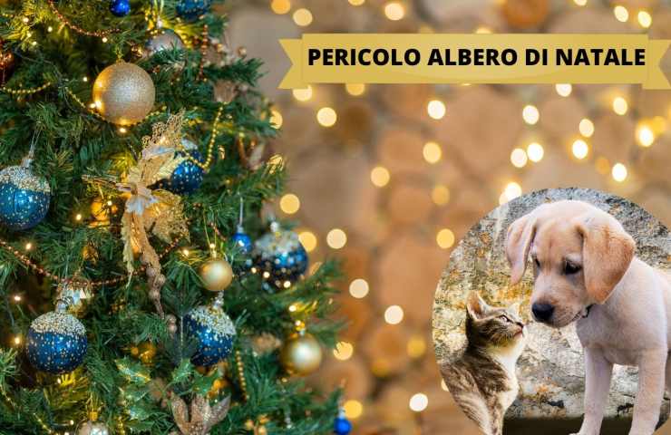 pericolo albero di Natale per gli animali