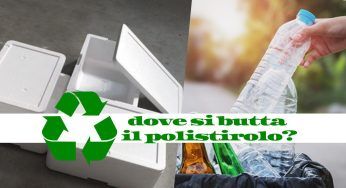Sei certo di sapere dove gettare gli imballaggi di polistirolo: occhio all’errore